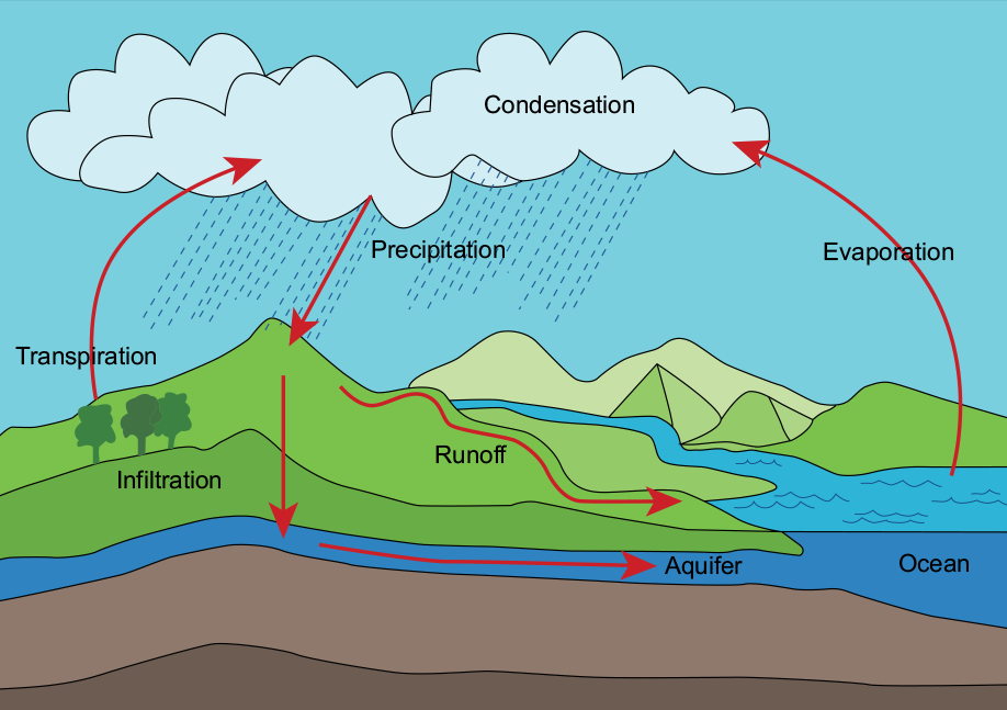 agricultural runoff diagram