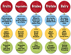 The 5 Food Groups Trivia Game - eLearning