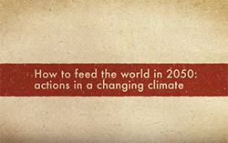 CGIAR Research Program on Climate Change, Agriculture.