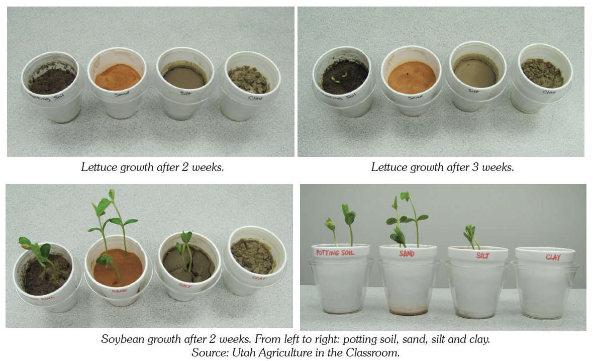 clay soil vs sandy soil