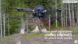 Droneseed