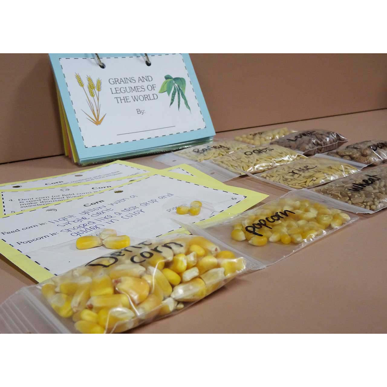 Grains and Legumes of the World – Curriculum Matrix | Mass Ag in the ...