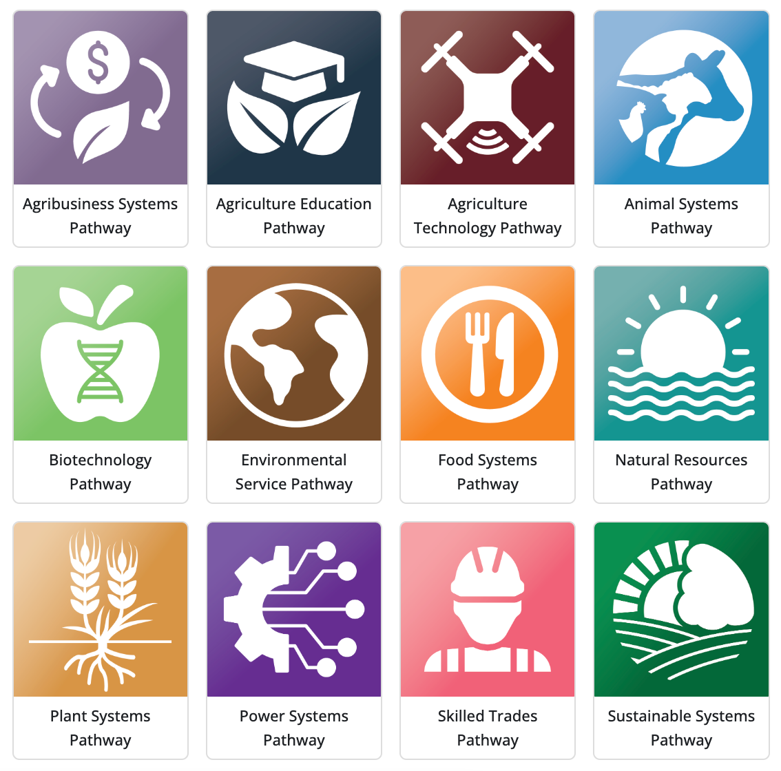 Collage of icons representing different career pathways in agriculture.