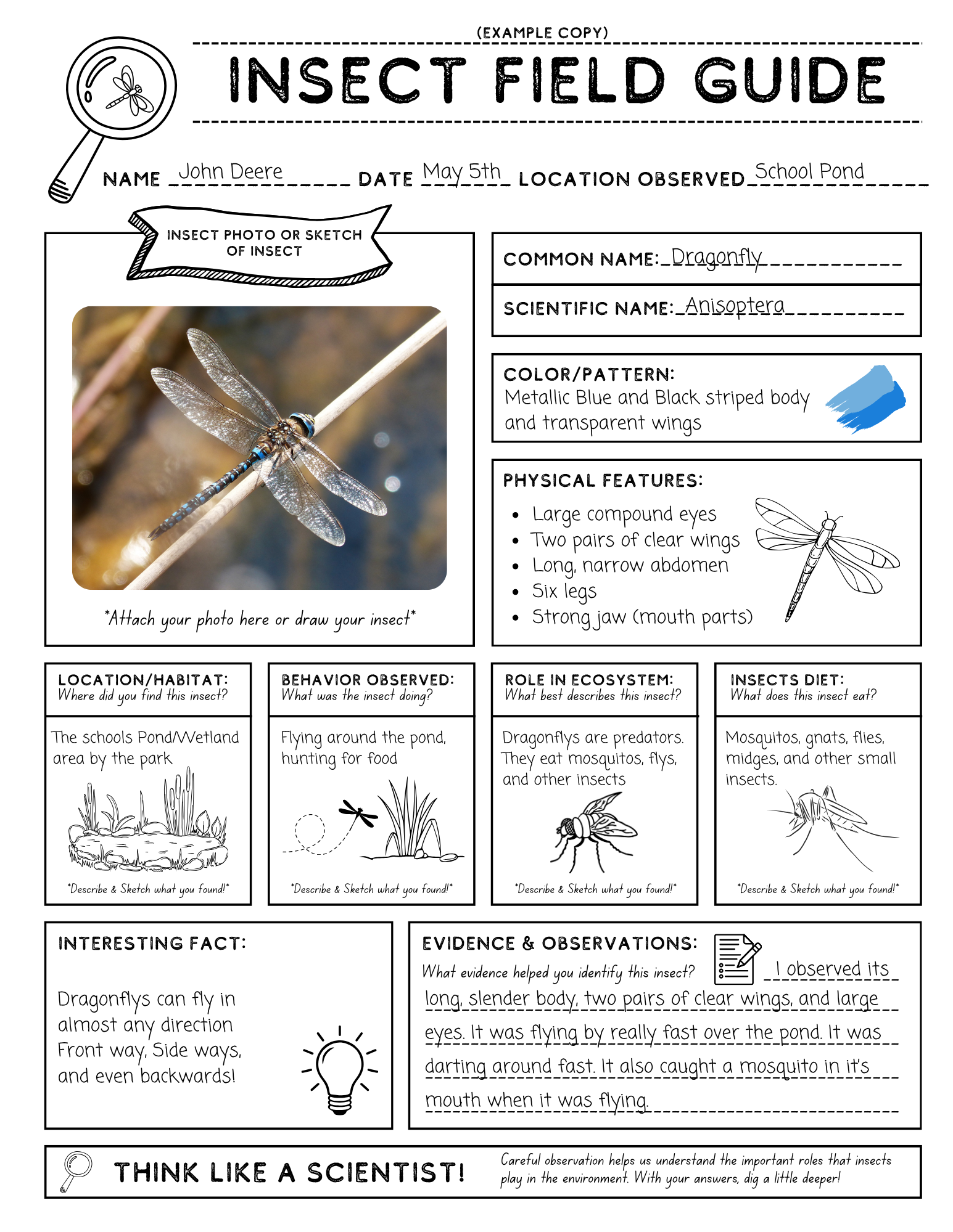 Insect Population Dynamics: Predators and Herbivores – Curriculum ...