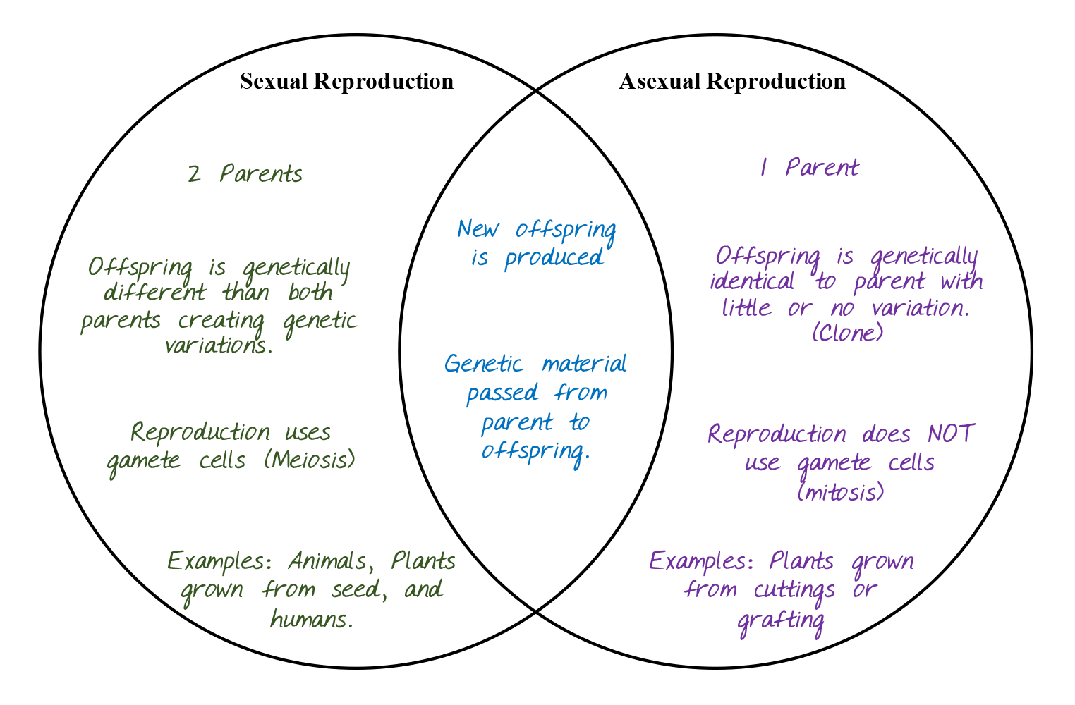 Apple Genetics: A Tasty Phenomena | Kansas Agriculture in the Classroom