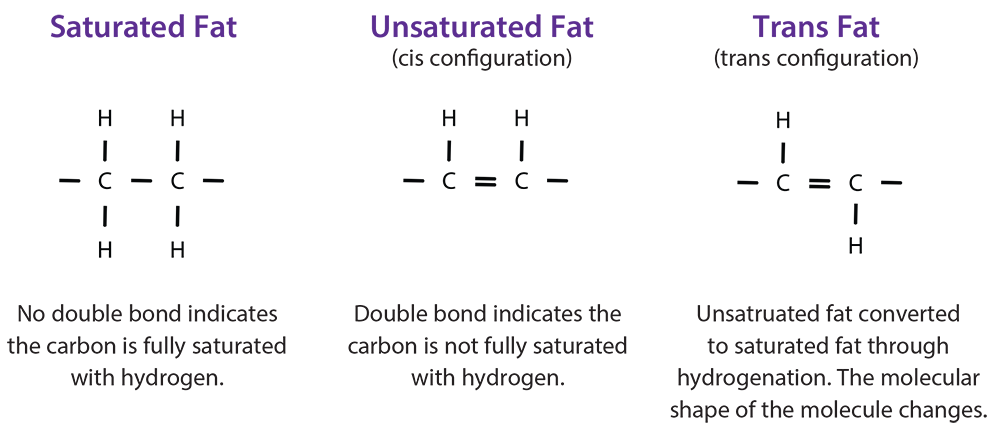 unsaturated fat diagram
