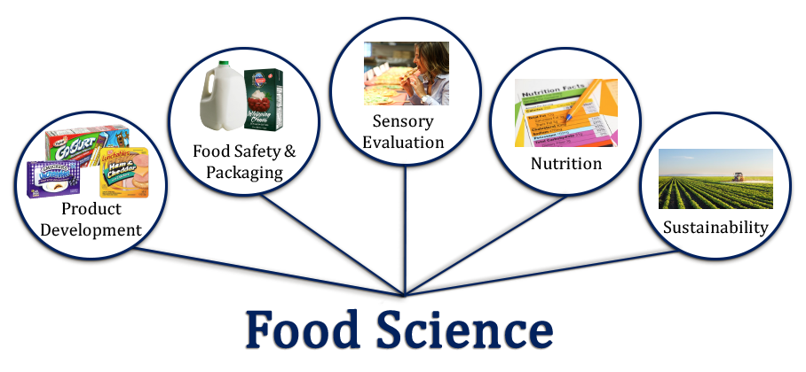 3 Things Those in Food Technology Training Should Know About