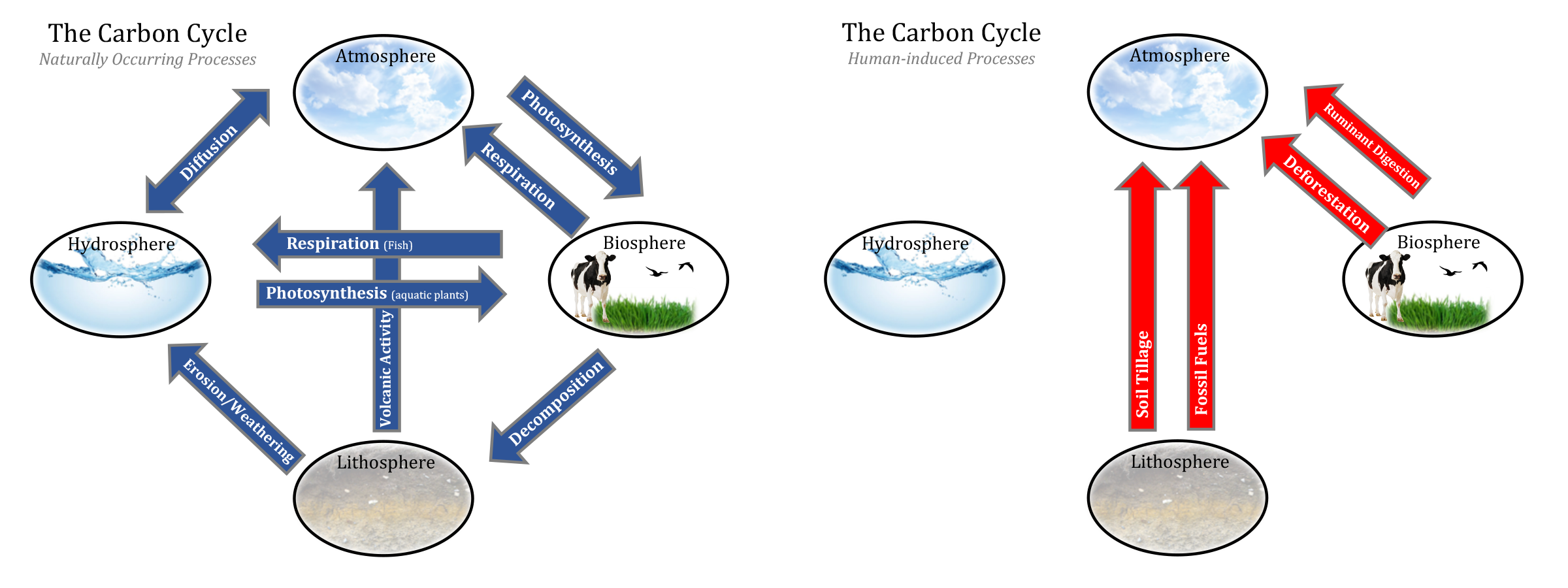 the-carbon-cycle-and-climate-smart-agriculture